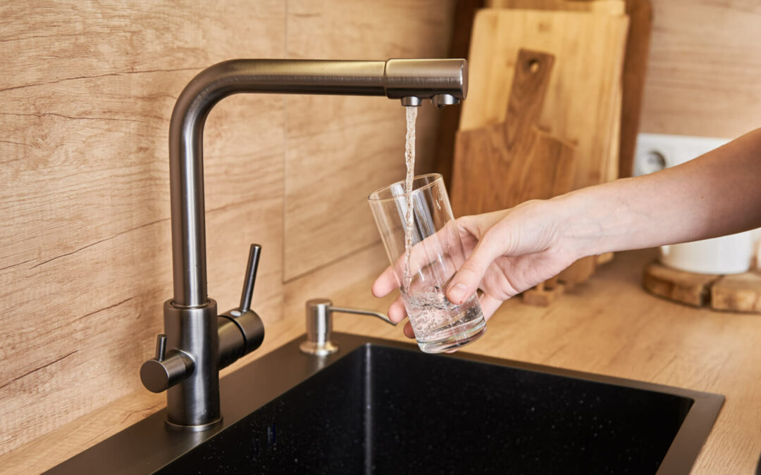 The Definitive Guide to Choosing the Best Water Filter for Your Home in Pleasanton CA